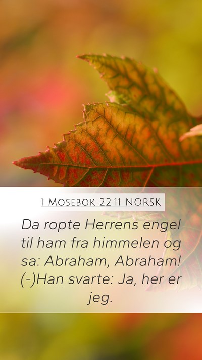 1 Mosebok 22:11 NORSK Bible Verse Image