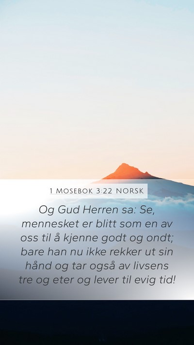 1 Mosebok 3:22 NORSK Bible Verse Image