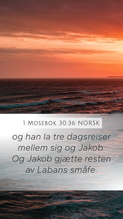 1 Mosebok 30:36 NORSK Bible Verse Image