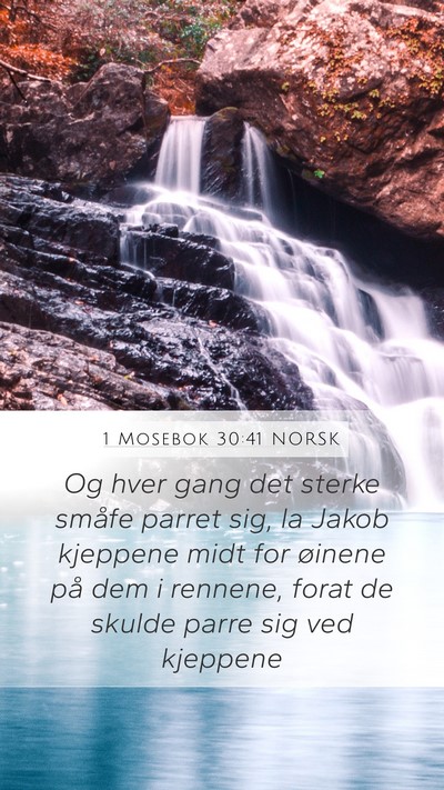 1 Mosebok 30:41 NORSK Mobile Phone Wallpaper - Og hver gang det sterke småfe parret sig, la - Mobile Bible Verse Wallpaper
