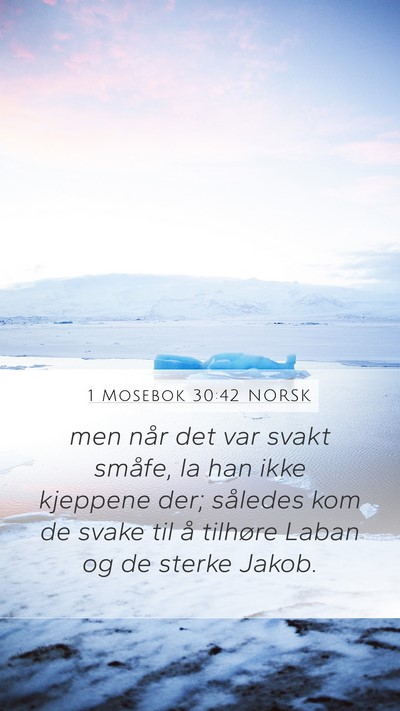 1 Mosebok 30:42 NORSK Mobile Phone Wallpaper - men når det var svakt småfe, la han ikke - Mobile Bible Verse Wallpaper