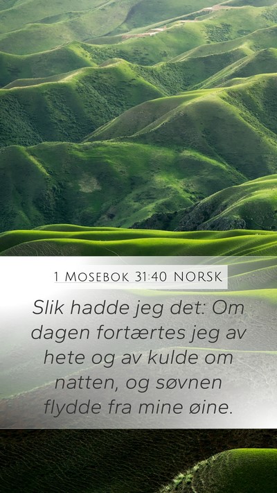 1 Mosebok 31:40 NORSK Bible Verse Image