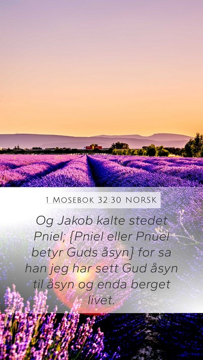 1 Mosebok 32:30 NORSK Bible Verse Image