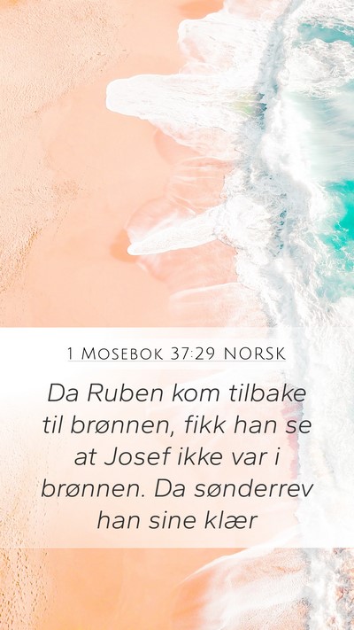 1 Mosebok 37:29 NORSK Bible Verse Image