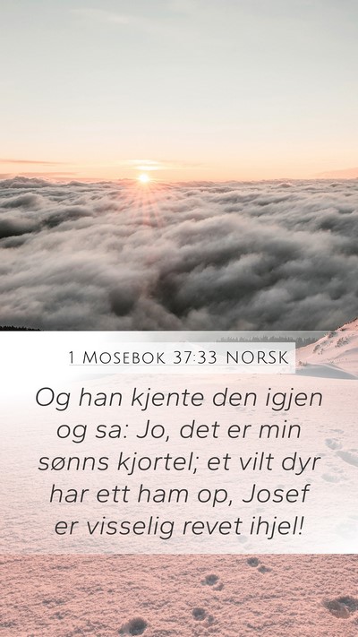 1 Mosebok 37:33 NORSK Bible Verse Image