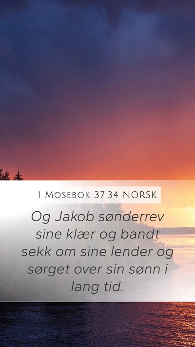 1 Mosebok 37:34 NORSK Bible Verse Image