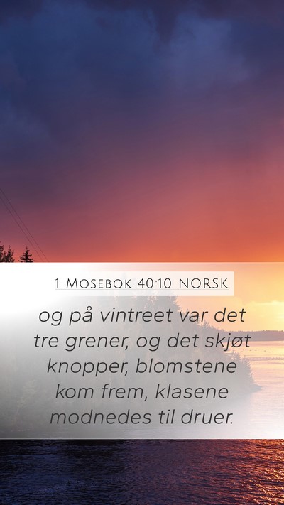 1 Mosebok 40:10 NORSK Bible Verse Image