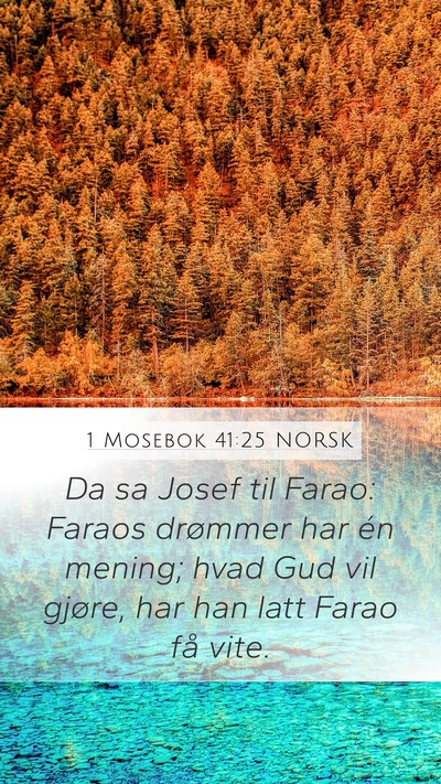 1 Mosebok 41:25 NORSK Bible Verse Image