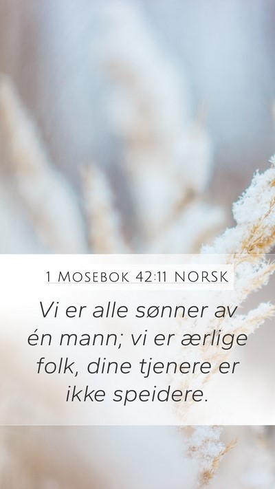 1 Mosebok 42:11 NORSK Mobile Phone Wallpaper - Vi er alle sønner av én mann; vi er ærlige - Mobile Bible Verse Wallpaper
