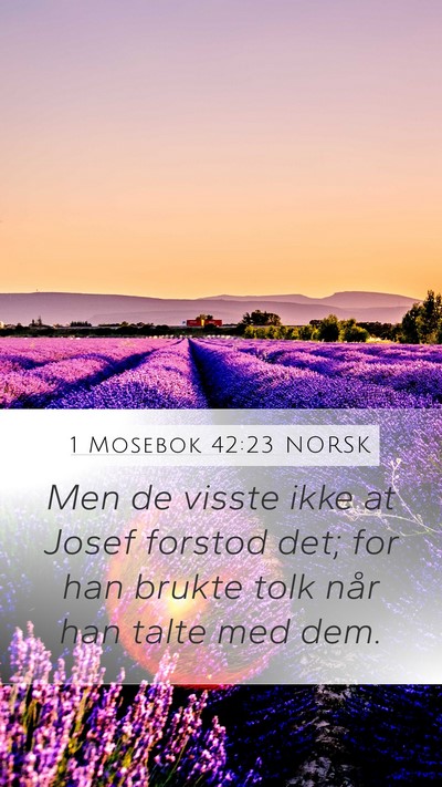 1 Mosebok 42:23 NORSK Mobile Phone Wallpaper - Men de visste ikke at Josef forstod det; for han - Mobile Bible Verse Wallpaper