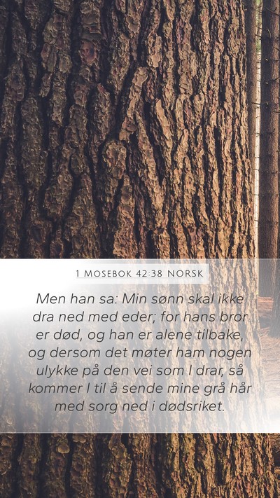 1 Mosebok 42:38 NORSK Bible Verse Image