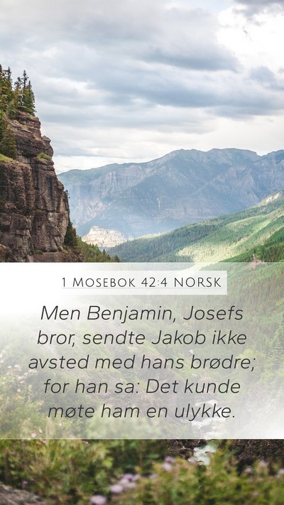 1 Mosebok 42:4 NORSK Mobile Phone Wallpaper - Men Benjamin, Josefs bror, sendte Jakob ikke - Mobile Bible Verse Wallpaper