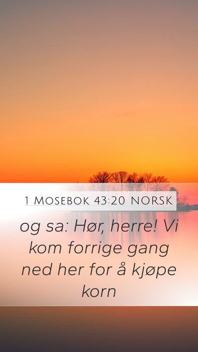1 Mosebok 43:20 NORSK Bible Verse Image