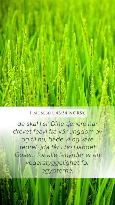 1 Mosebok 46:34 NORSK Bible Verse Image