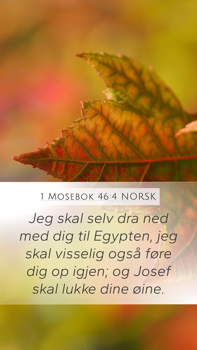 1 Mosebok 46:4 NORSK Bible Verse Image