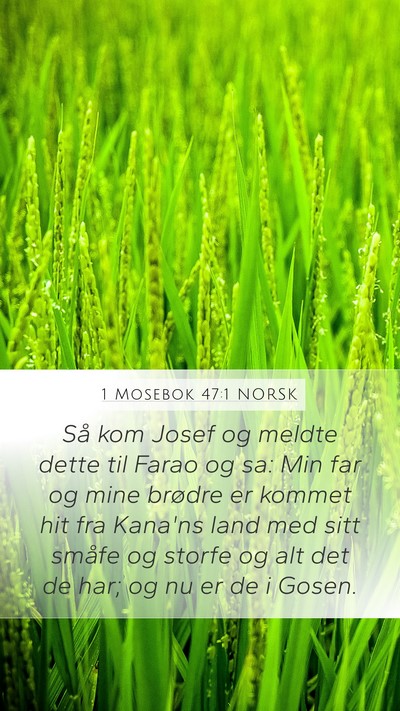 1 Mosebok 47:1 NORSK Mobile Phone Wallpaper - Så kom Josef og meldte dette til Farao og sa: - Mobile Bible Verse Wallpaper
