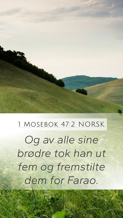 1 Mosebok 47:2 NORSK Mobile Phone Wallpaper - Og av alle sine brødre tok han ut fem og - Mobile Bible Verse Wallpaper