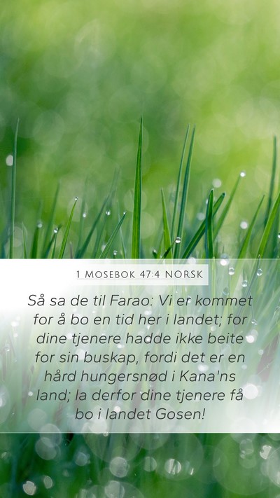 1 Mosebok 47:4 NORSK Mobile Phone Wallpaper - Så sa de til Farao: Vi er kommet for å bo en - Mobile Bible Verse Wallpaper