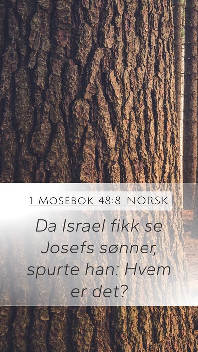 1 Mosebok 48:8 NORSK Mobile Phone Wallpaper - Da Israel fikk se Josefs sønner, spurte han: - Mobile Bible Verse Wallpaper
