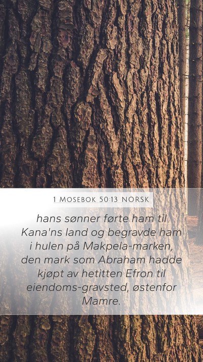 1 Mosebok 50:13 NORSK Bible Verse Image