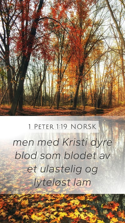 1 Peter 1:19 NORSK Bible Verse Image