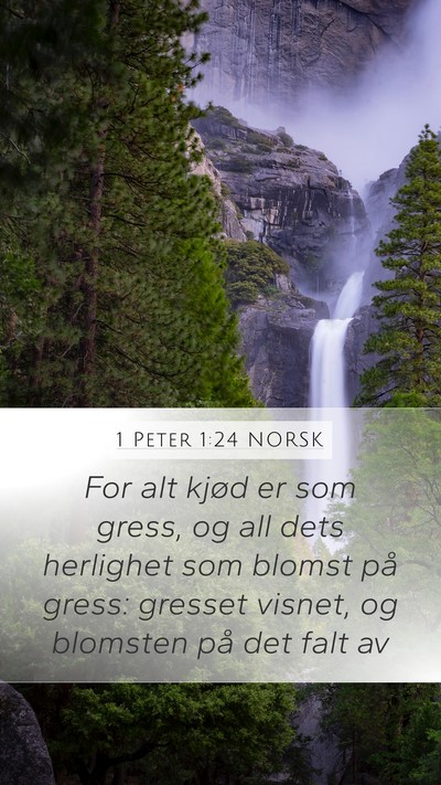 1 Peter 1:24 NORSK Bible Verse Image