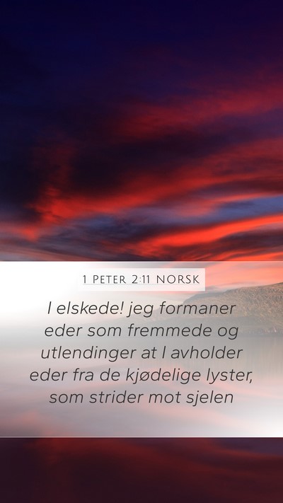 1 Peter 2:11 NORSK Bible Verse Image