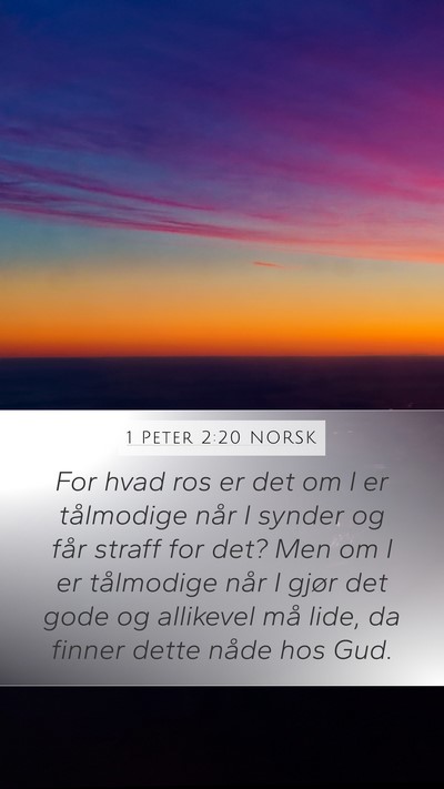 1 Peter 2:20 NORSK Bible Verse Image