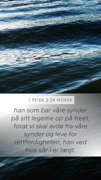1 Peter 2:24 NORSK Bible Verse Image