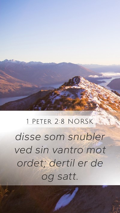 1 Peter 2:8 NORSK Bible Verse Image