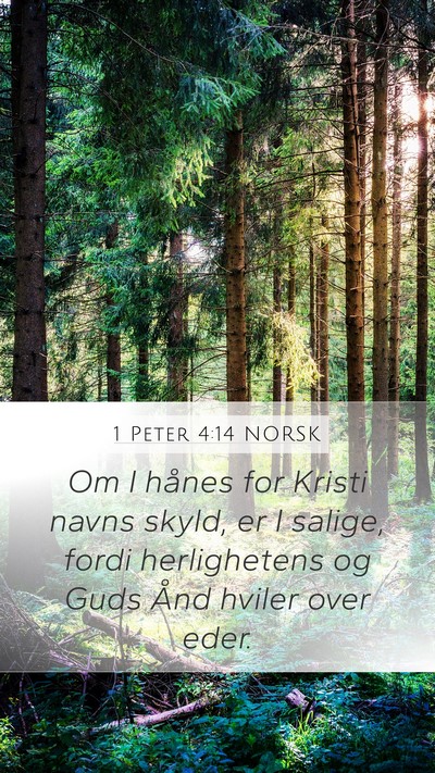 1 Peter 4:14 NORSK Bible Verse Image