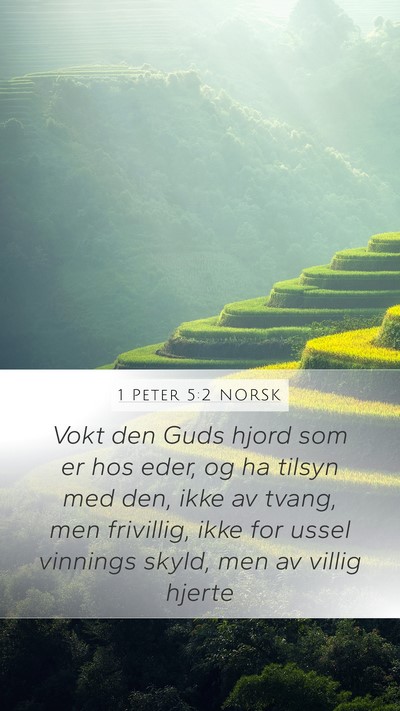1 Peter 5:2 NORSK Bible Verse Image