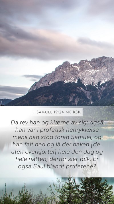 1 Samuel 19:24 NORSK Bible Verse Image