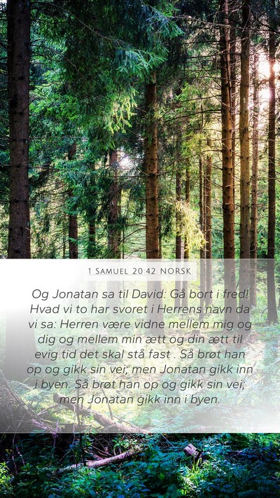 1 Samuel 20:42 NORSK Bible Verse Image