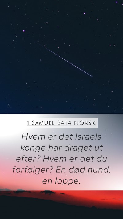 1 Samuel 24:14 NORSK Bible Verse Image