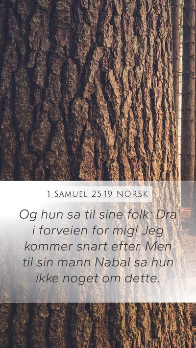 1 Samuel 25:19 NORSK Bible Verse Image