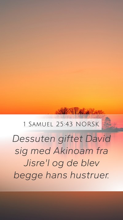 1 Samuel 25:43 NORSK Mobile Phone Wallpaper - Dessuten giftet David sig med Akinoam fra Jisre'l - Mobile Bible Verse Wallpaper
