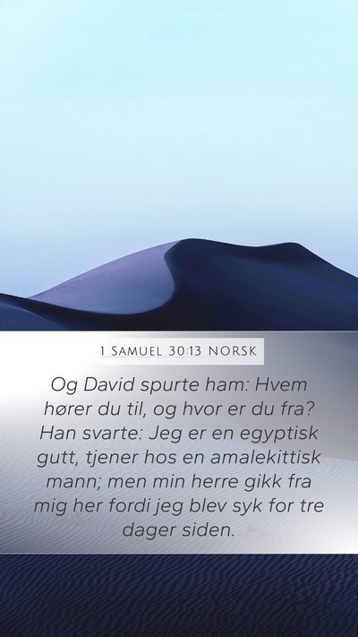 1 Samuel 30:13 NORSK Bible Verse Image