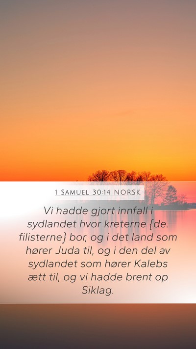 1 Samuel 30:14 NORSK Bible Verse Image