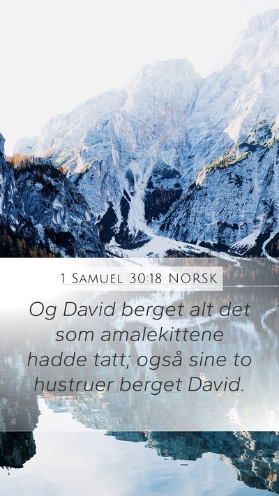 1 Samuel 30:18 NORSK Bible Verse Image