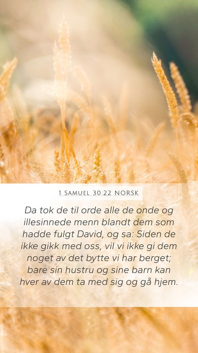 1 Samuel 30:22 NORSK Bible Verse Image