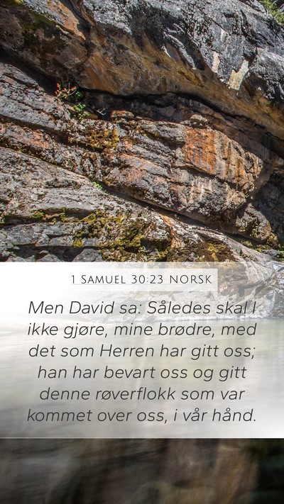 1 Samuel 30:23 NORSK Mobile Phone Wallpaper - Men David sa: Således skal I ikke gjøre, mine - Mobile Bible Verse Wallpaper
