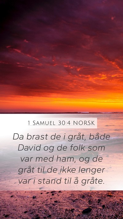1 Samuel 30:4 NORSK Bible Verse Image