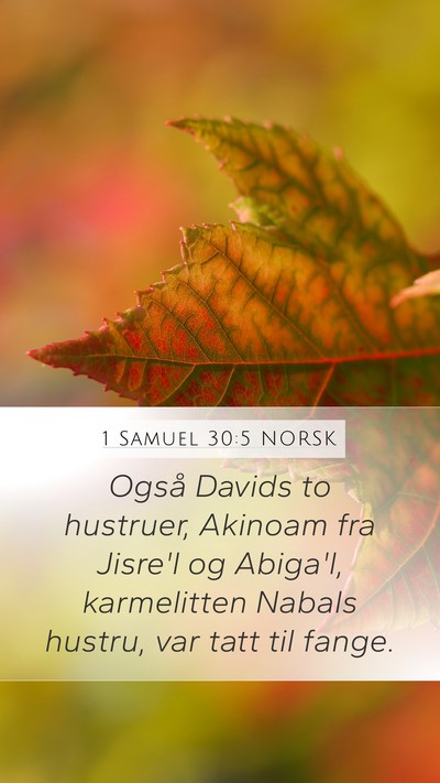 1 Samuel 30:5 NORSK Bible Verse Image