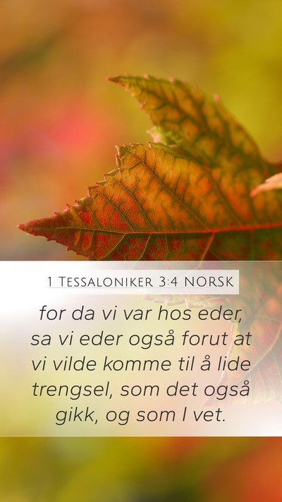 1 Tessaloniker 3:4 NORSK Bible Verse Image