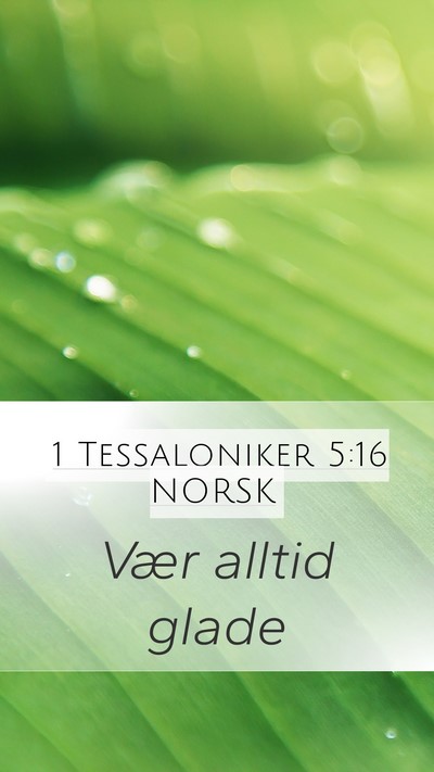 1 Tessaloniker 5:16 NORSK Bible Verse Image