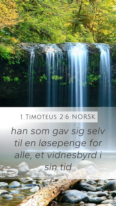 1 Timoteus 2:6 NORSK Bible Verse Image