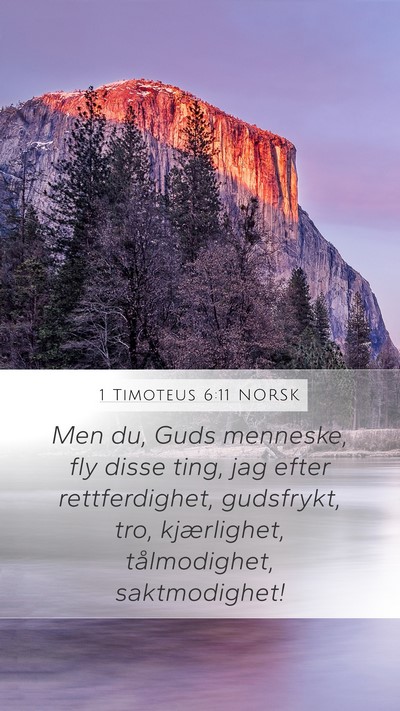 1 Timoteus 6:11 NORSK Bible Verse Image