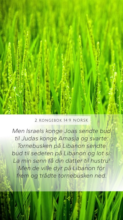 2 Kongebok 14:9 NORSK Bible Verse Image