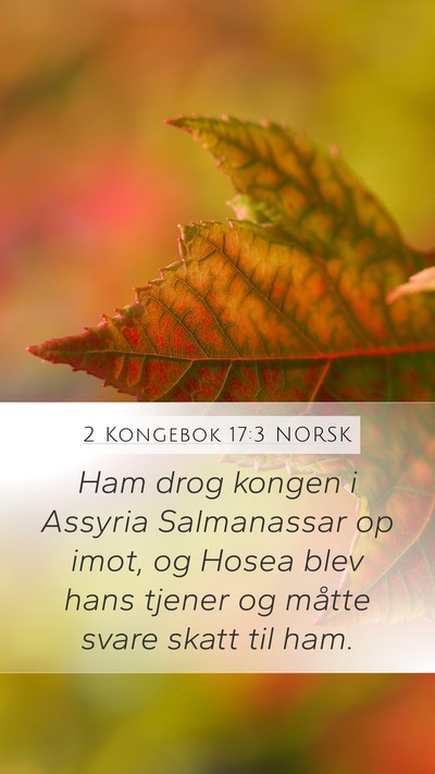 2 Kongebok 17:3 NORSK Bible Verse Image